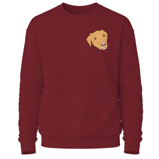 Comfy Cuddly Creatures